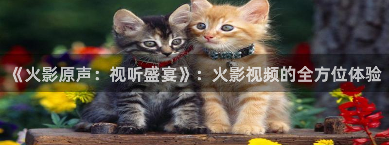 yy6090免费高清电视