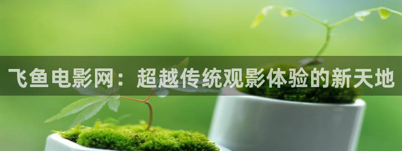 yy6090青苹果影院的播放量